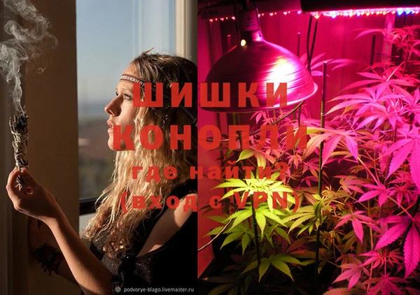 каннабис Арсеньев